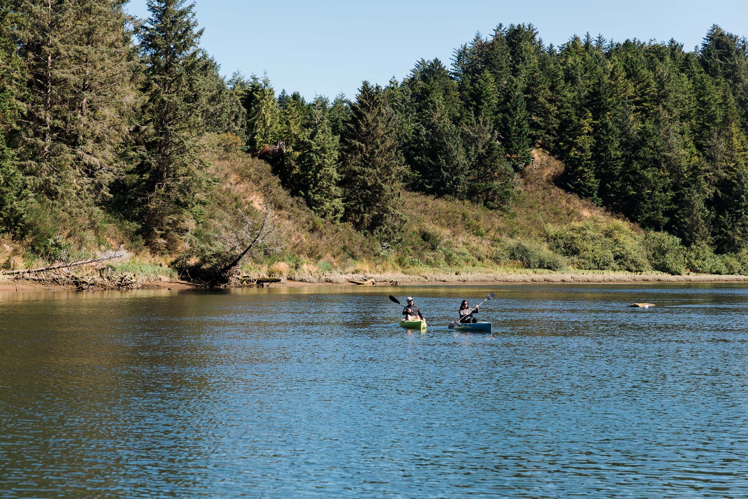 2 people kayaking near the shore on the Nestucca River