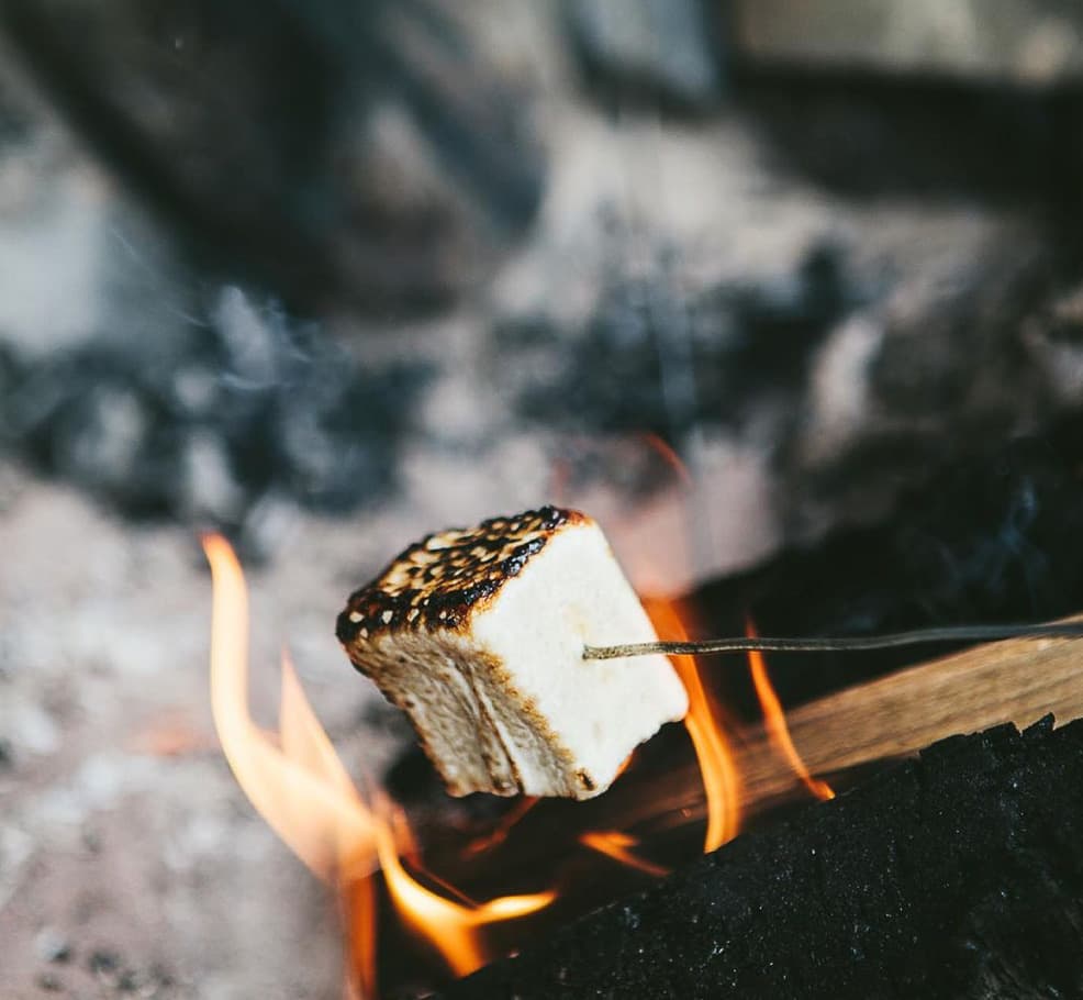 Bonfire Roasting Marshmallow