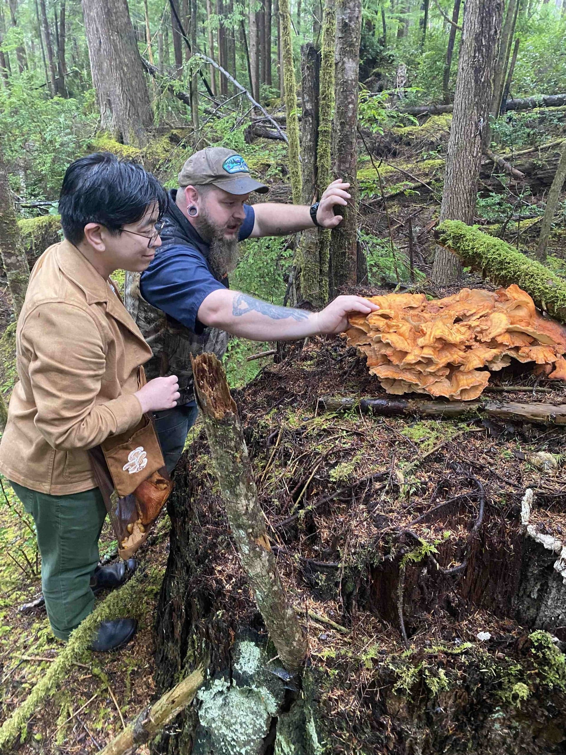 Guided mushroom foraging tour with wild chicken-of-the-woods, Headlands Coastal Lodge & Spa, Oregon Coast