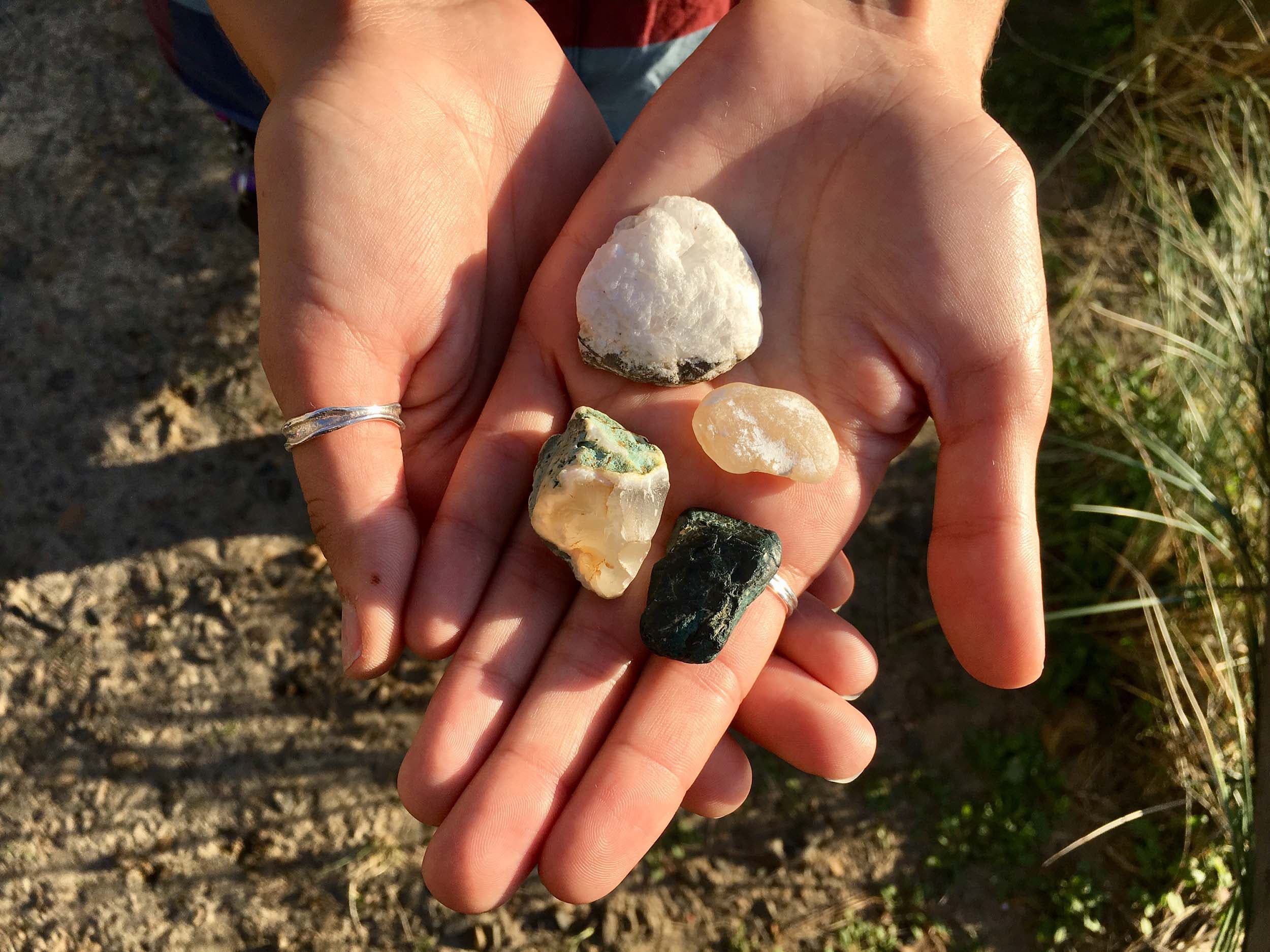 A hand holding out 4 beautiful stones found at Agate Expedition