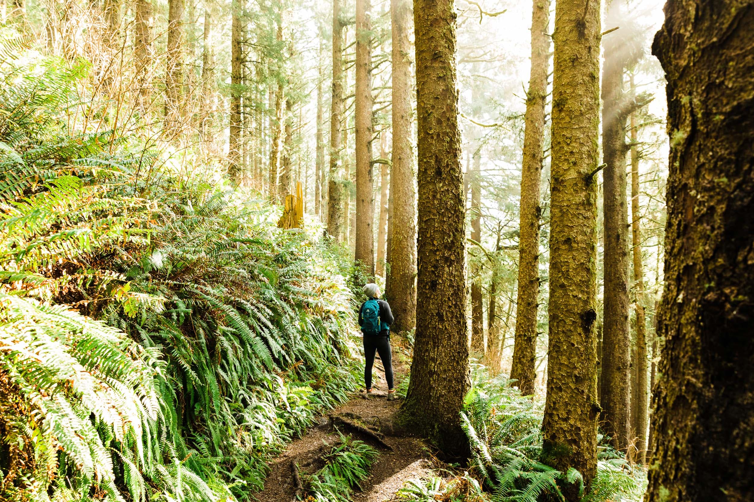 A woman walking on a path in the woods on a forest bathing meditation