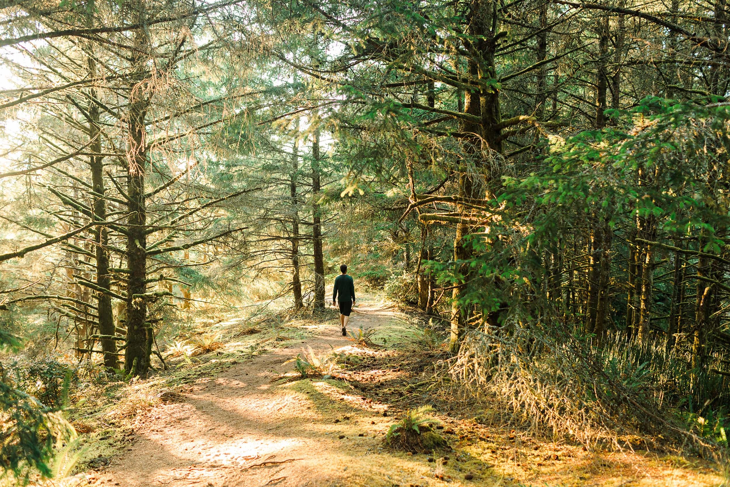 A man walking through the forest