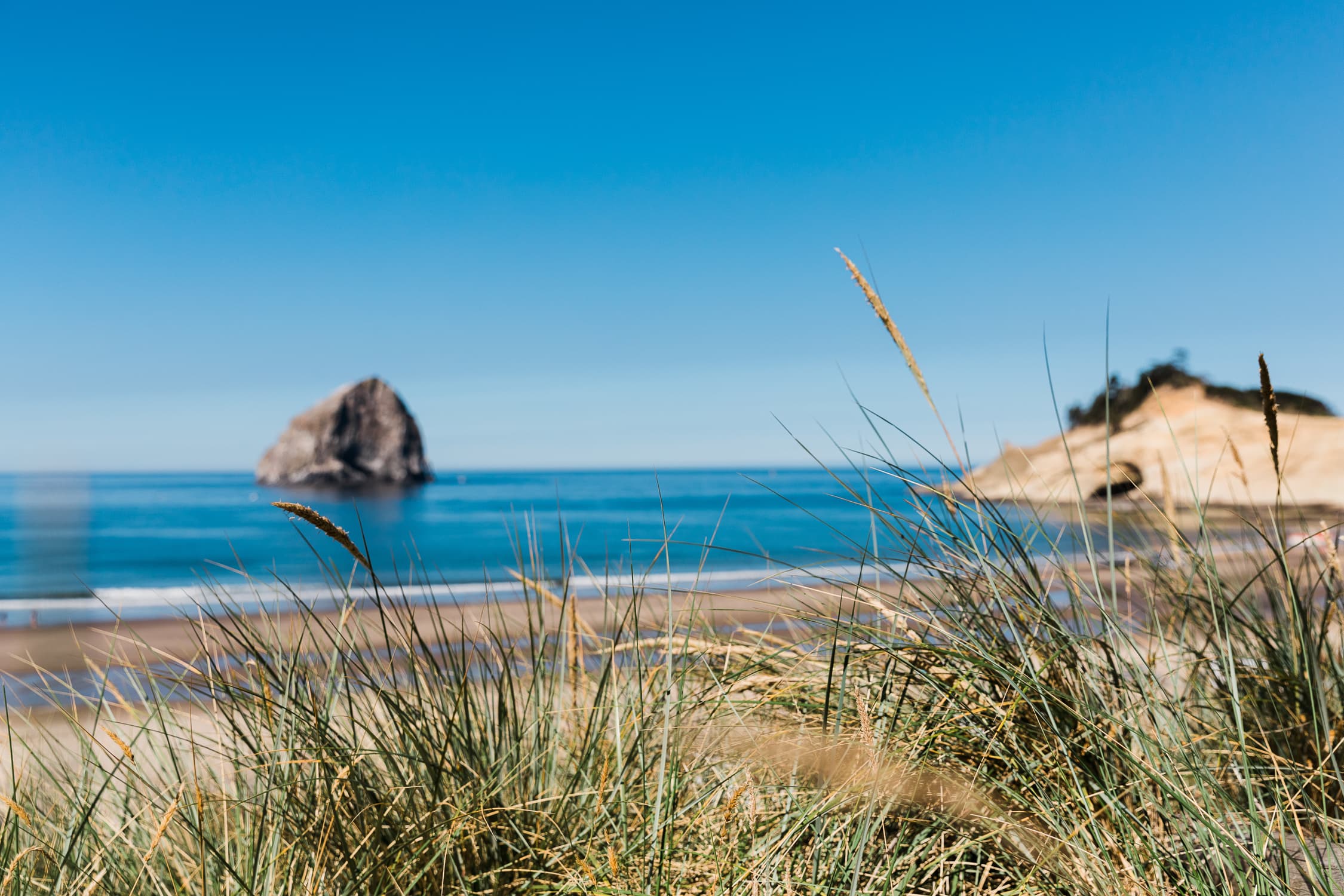 The beach with a view of Haystack Rock in Cape Kiwanda