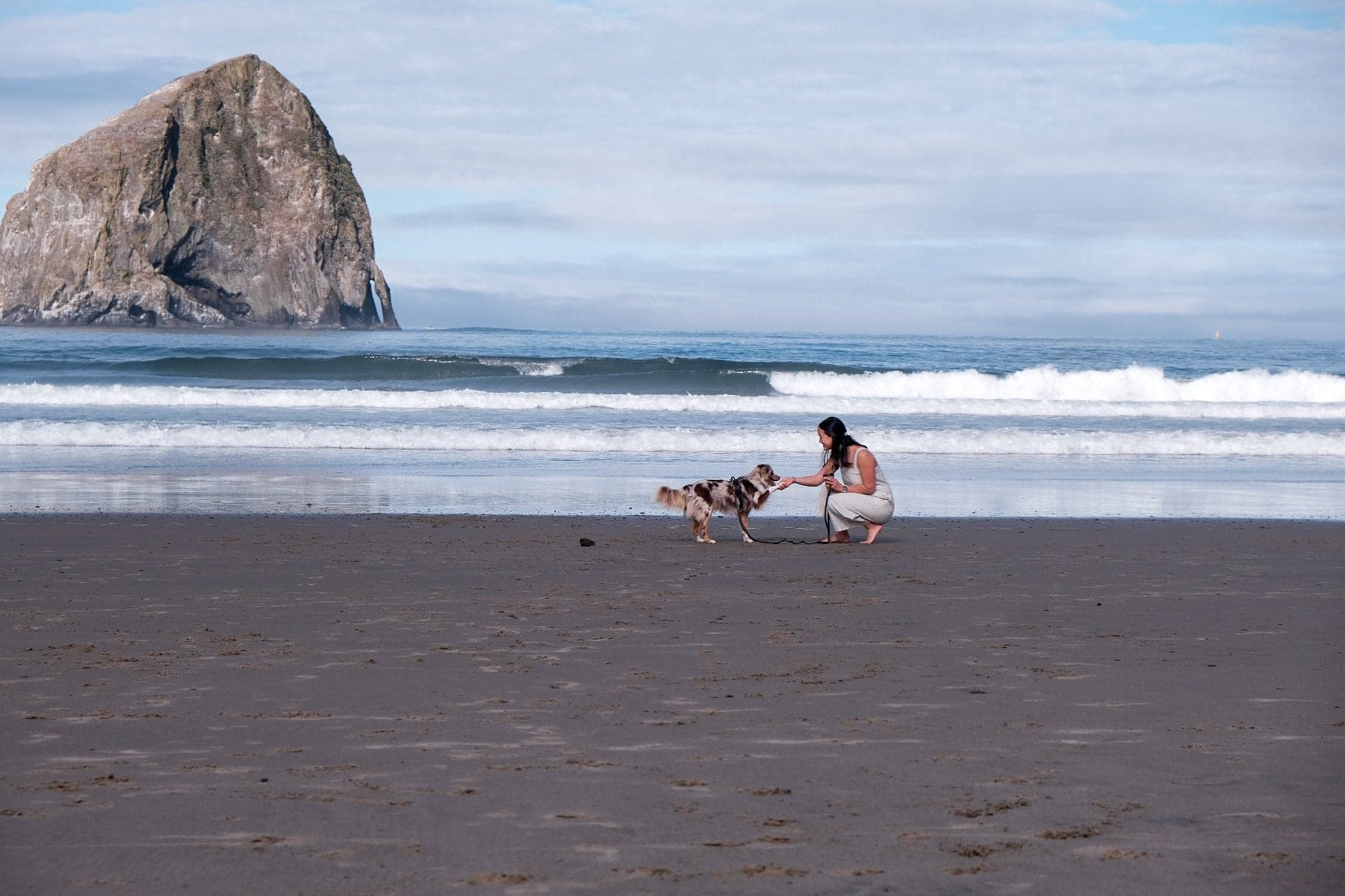 Dog and guest on the beach below Chief Kiwanda Rock at Headlands Coastal Lodge & Spa, Pacific City, Oregon
