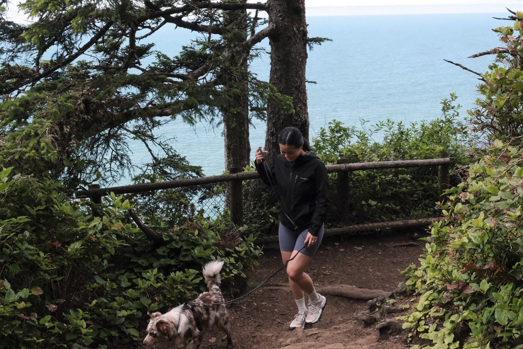 Dog-friendly ocean-view hiking trail near Headlands Coastal Lodge & Spa on the Oregon Coast