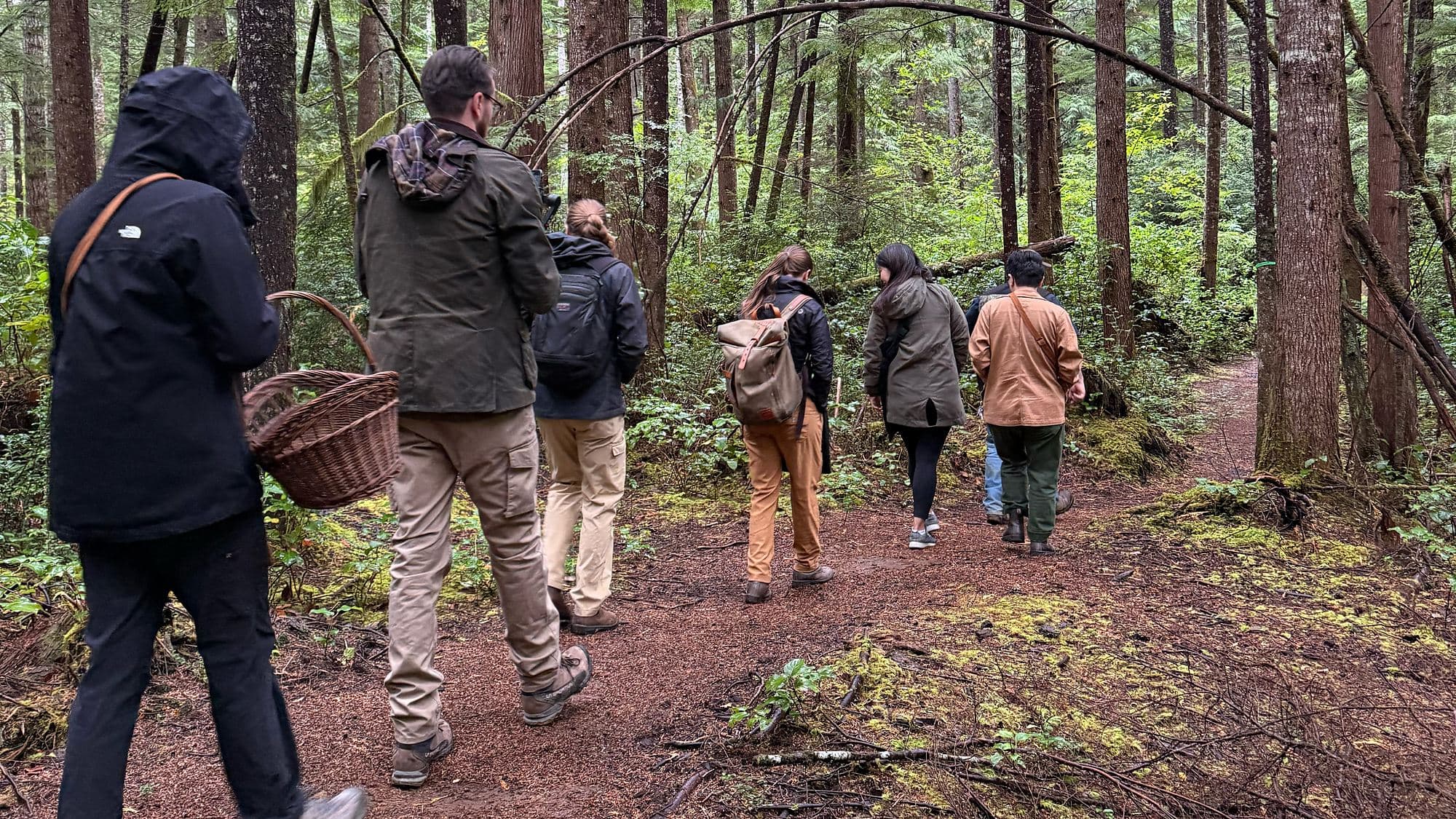 Small group hiking a coastal forest trail on a mushroom foraging tour from Headlands Coastal Lodge & Spa, Oregon