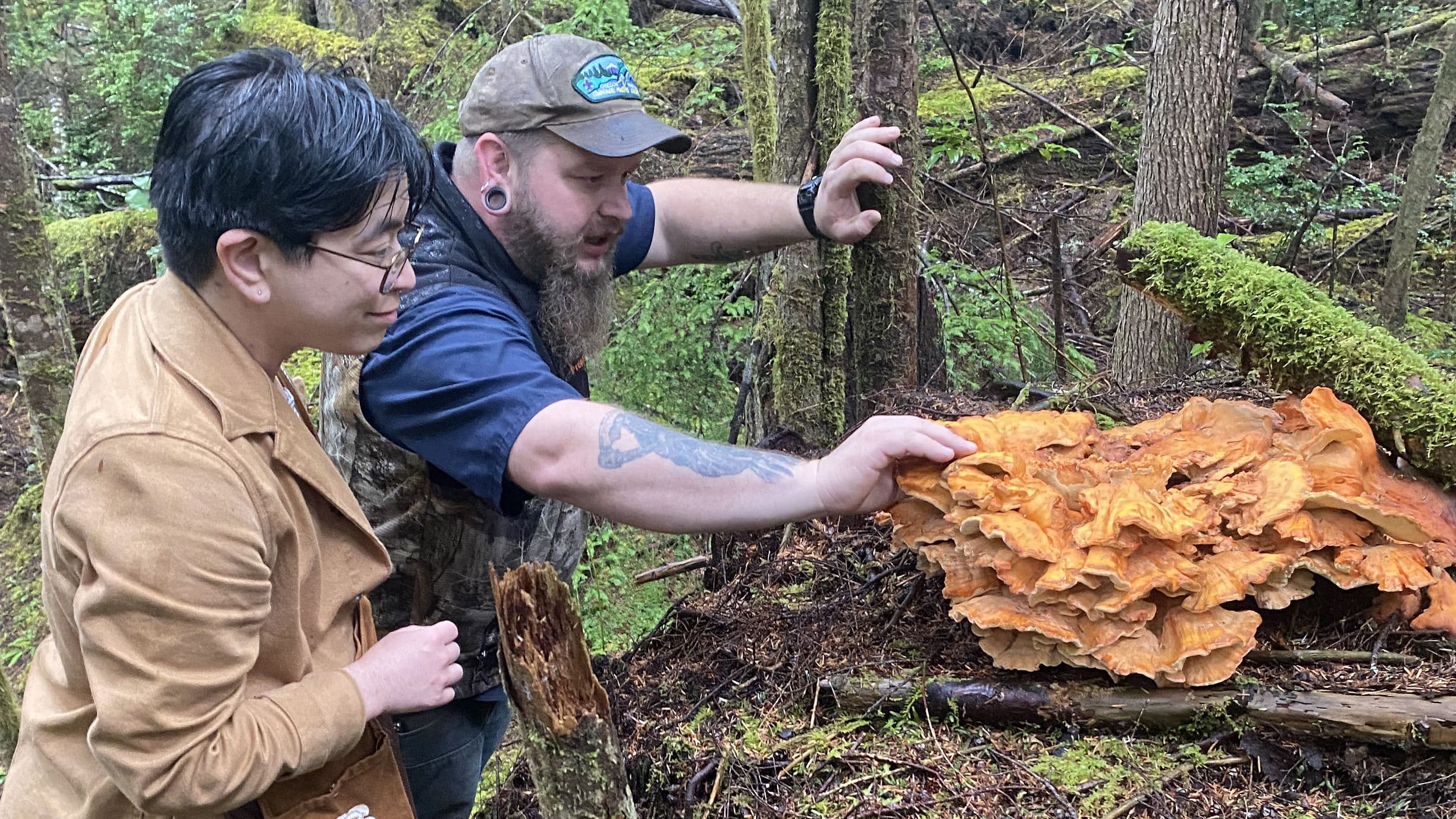 Forage guide showing guests chicken of the woods mushroom on a guided outing near Headlands Coastal Lodge & Spa, Oregon Coast