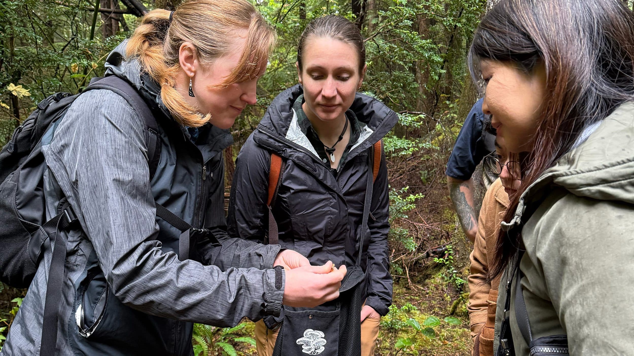 Guests identifying a wild mushroom during a guided forest walk with Headlands Coastal Lodge & Spa, Oregon Coast